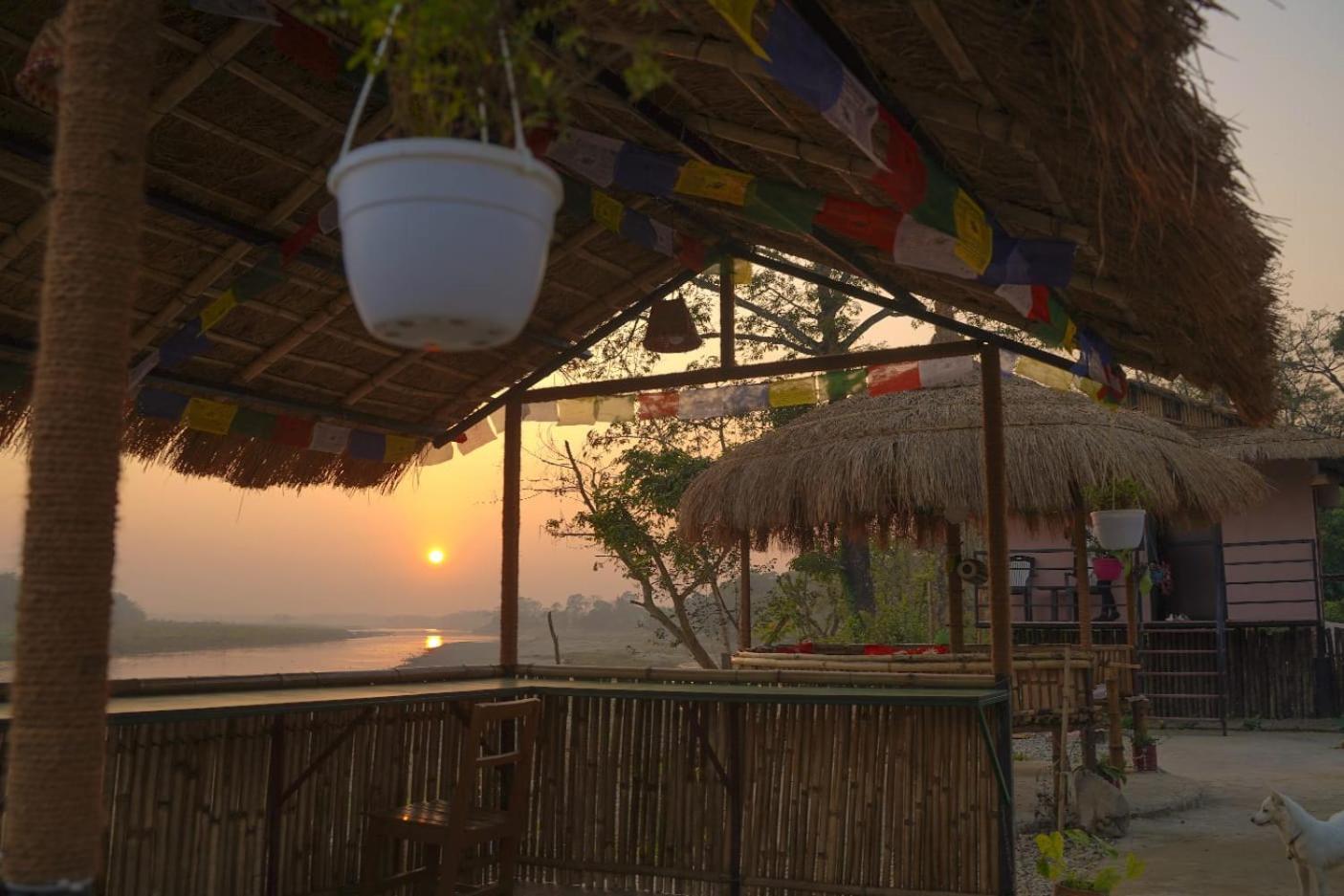 Bamby Chilling House - Feel The Nature Sauraha Luaran gambar