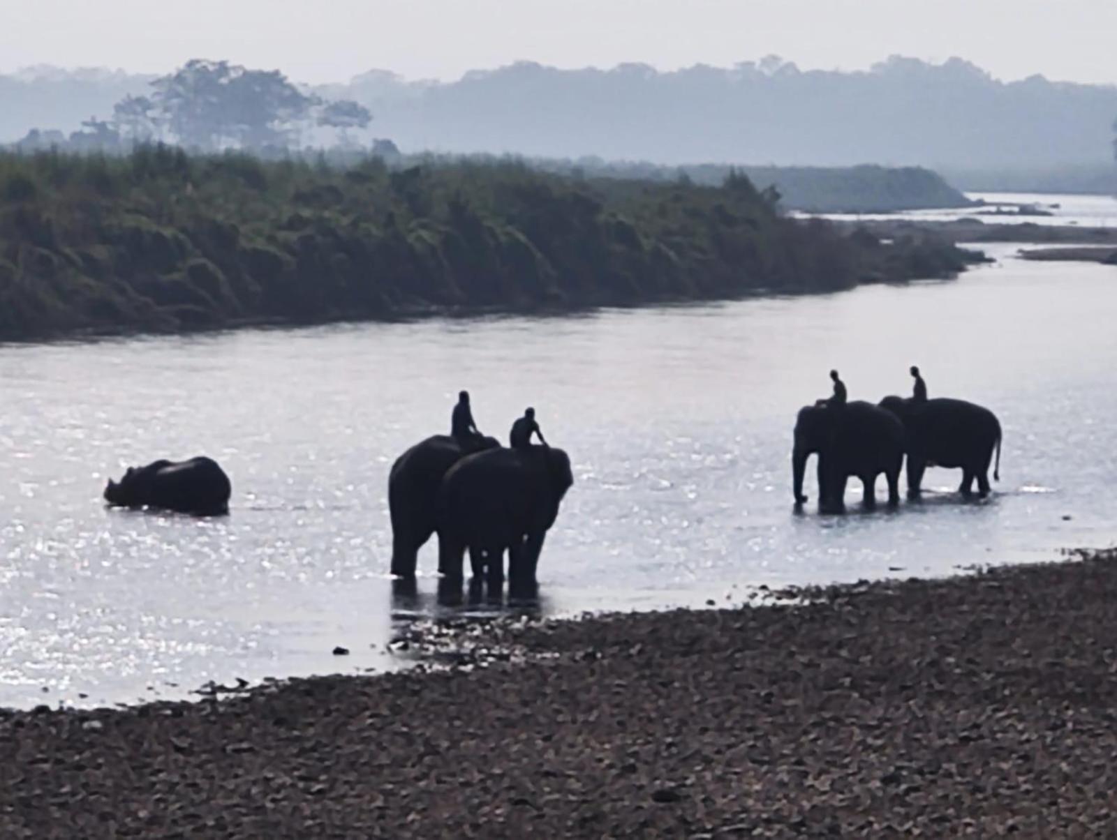 Bamby Chilling House - Feel The Nature Sauraha Luaran gambar