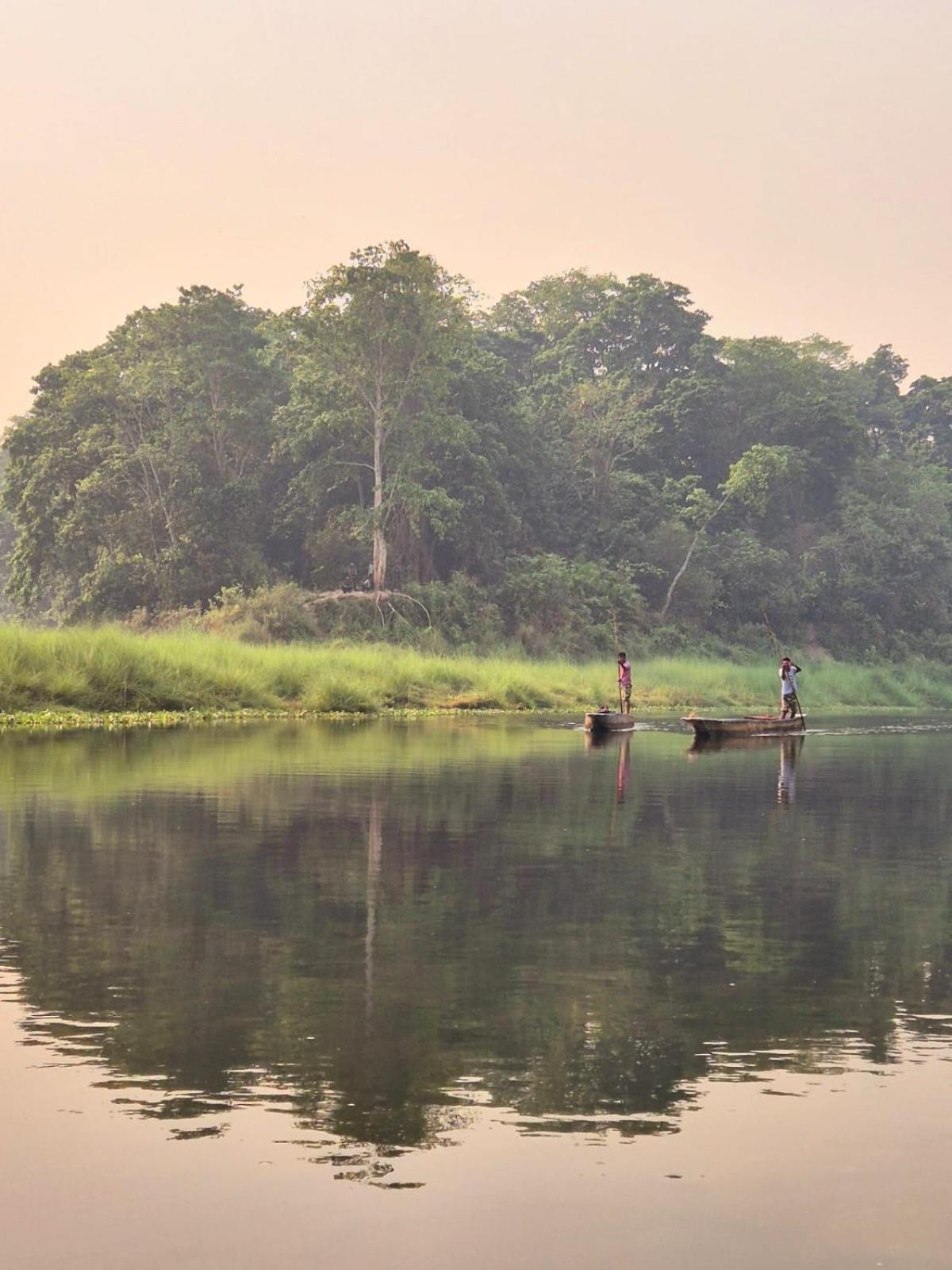 Bamby Chilling House - Feel The Nature Sauraha Luaran gambar