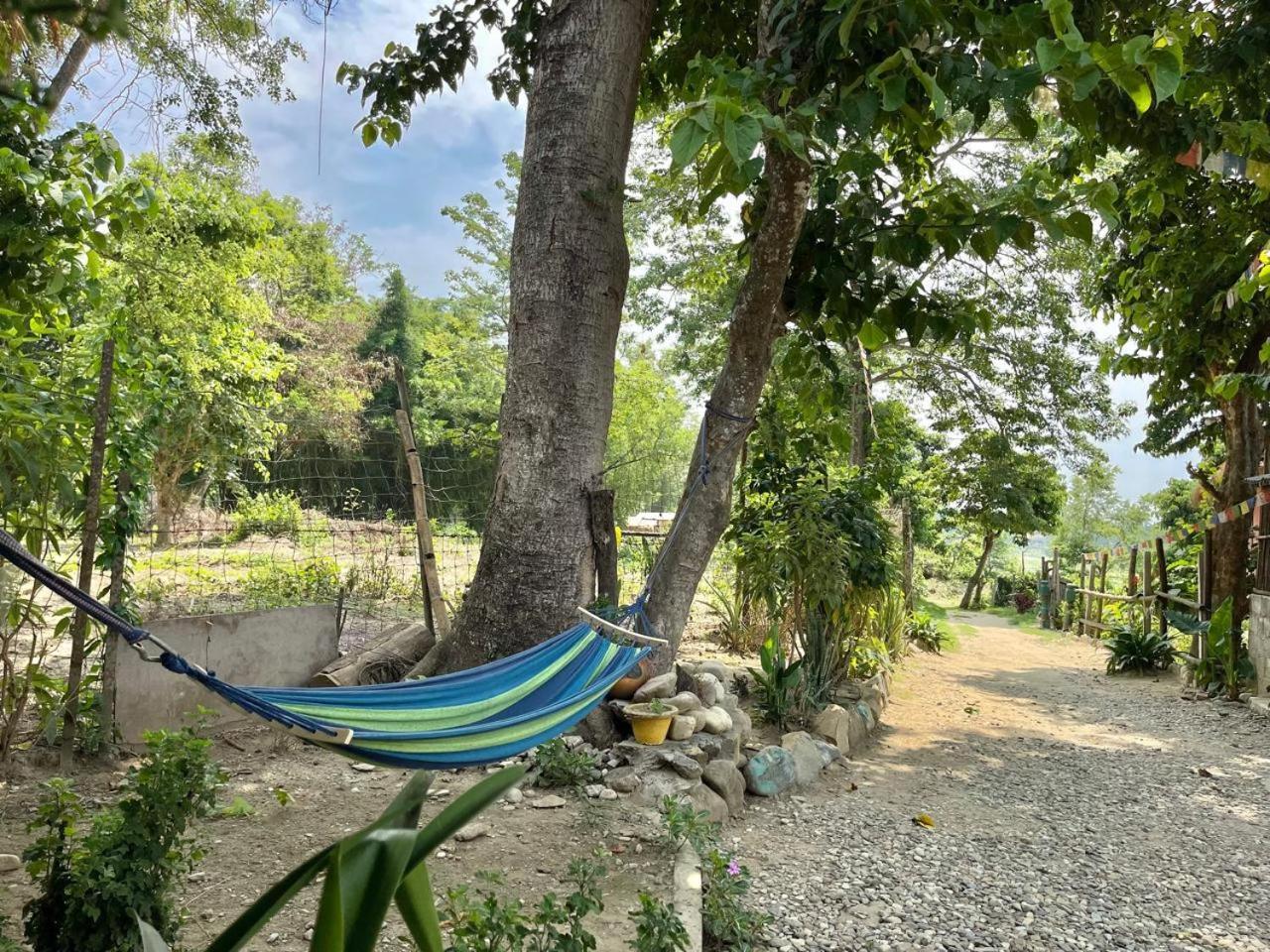 Bamby Chilling House - Feel The Nature Sauraha Luaran gambar
