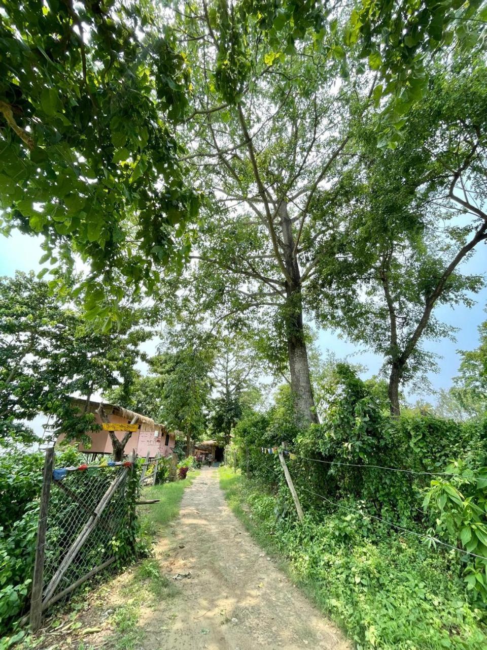 Bamby Chilling House - Feel The Nature Sauraha Luaran gambar