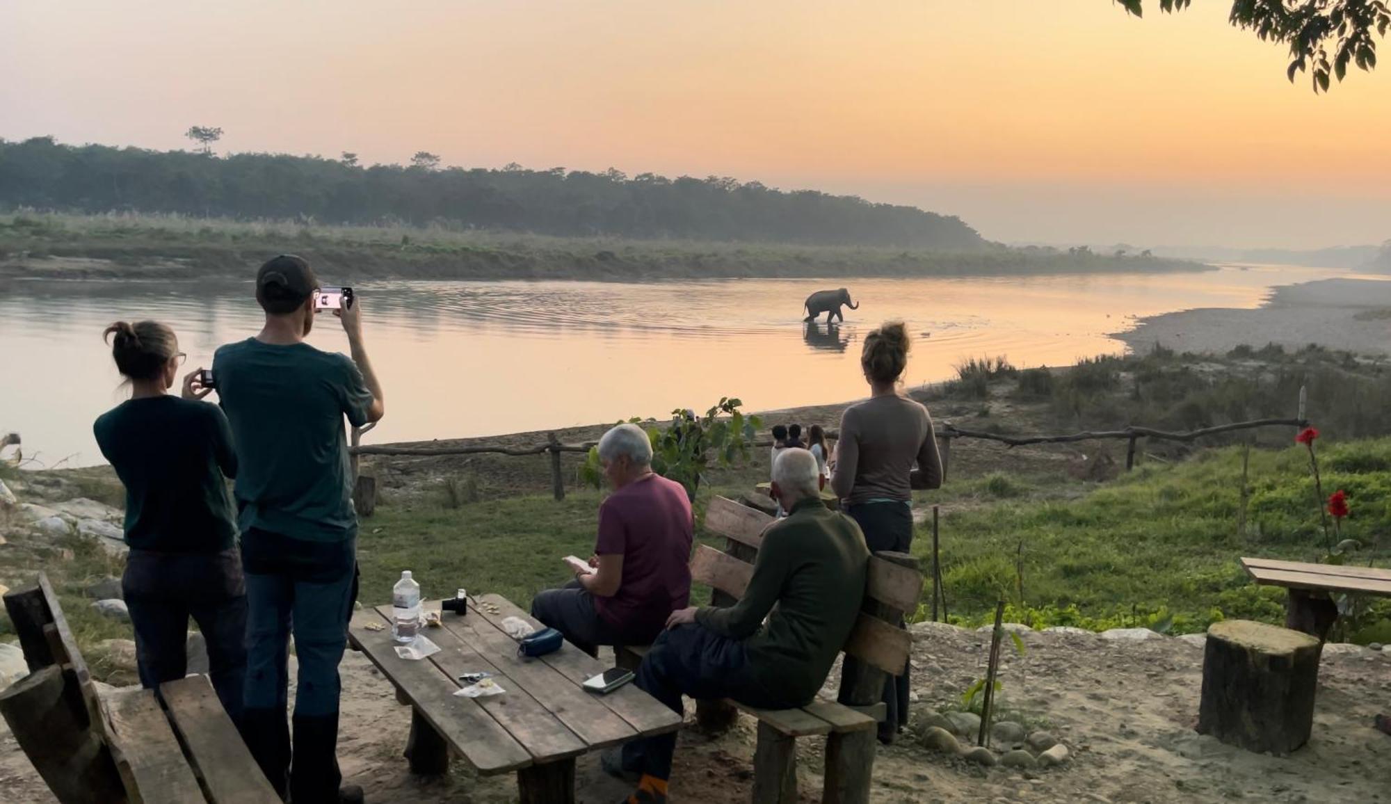 Bamby Chilling House - Feel The Nature Sauraha Luaran gambar