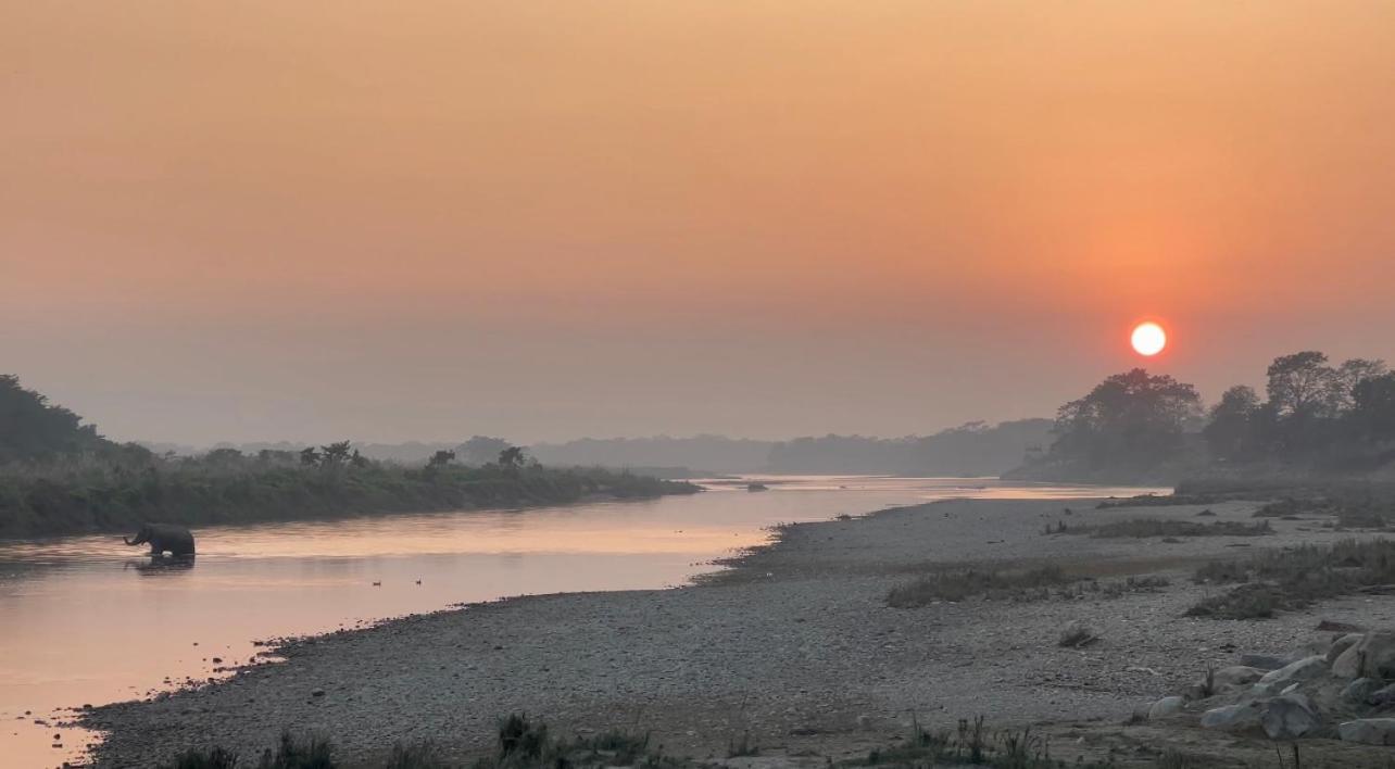 Bamby Chilling House - Feel The Nature Sauraha Luaran gambar