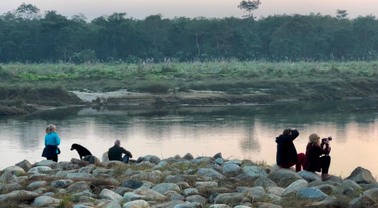 Bamby Chilling House - Feel The Nature Sauraha Luaran gambar