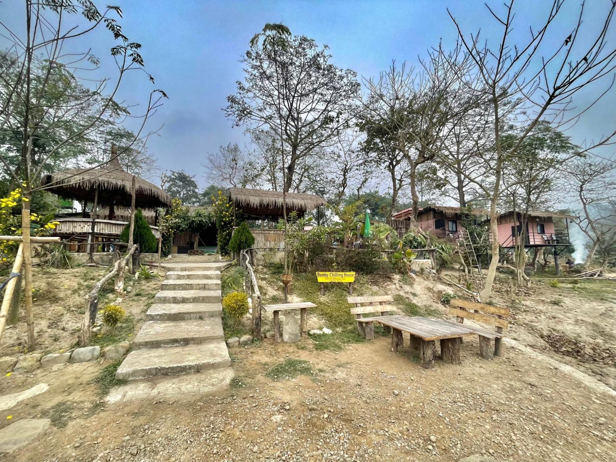 Bamby Chilling House - Feel The Nature Sauraha Luaran gambar