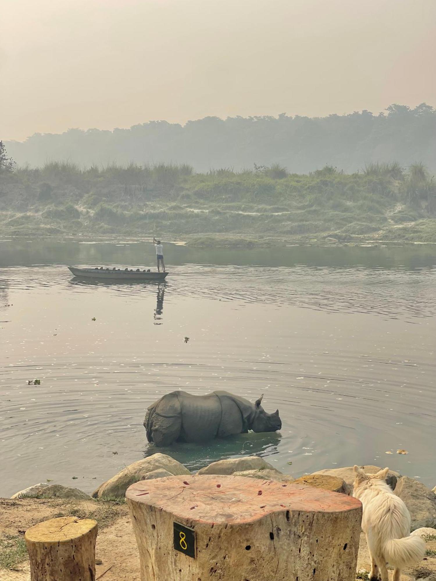 Bamby Chilling House - Feel The Nature Sauraha Luaran gambar