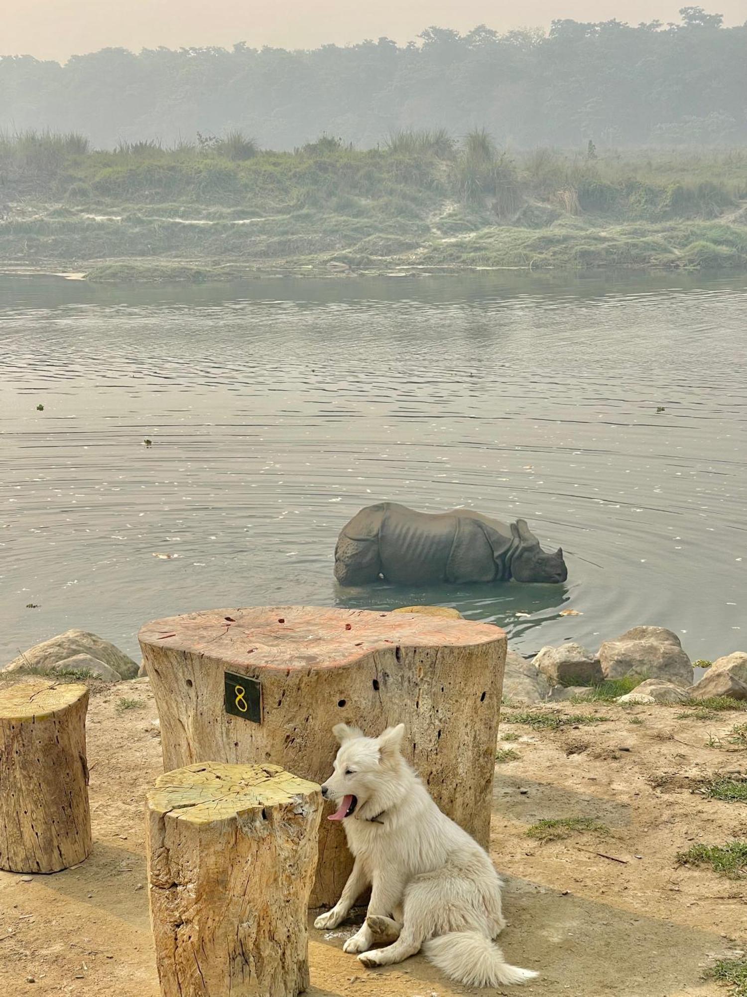 Bamby Chilling House - Feel The Nature Sauraha Luaran gambar