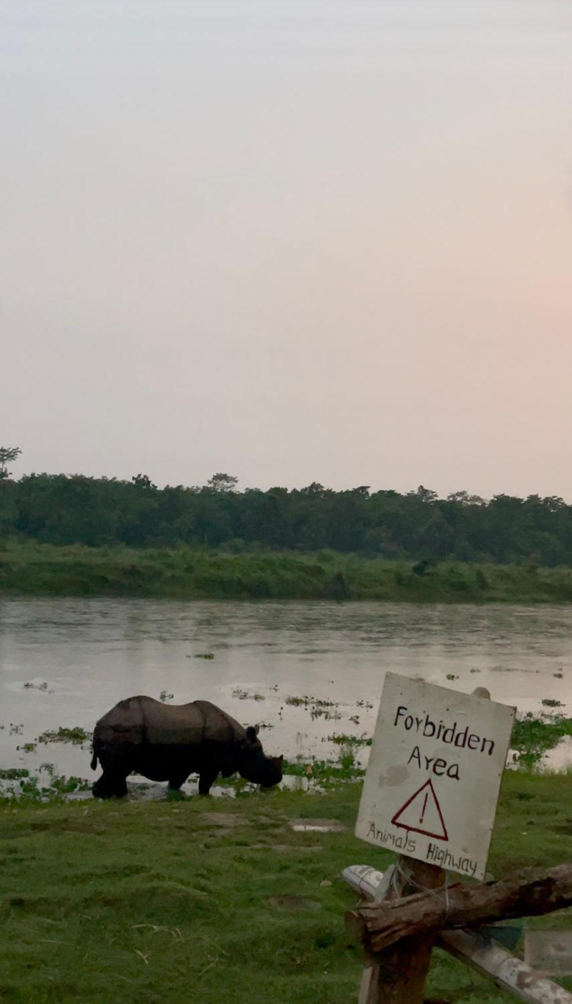 Bamby Chilling House - Feel The Nature Sauraha Luaran gambar